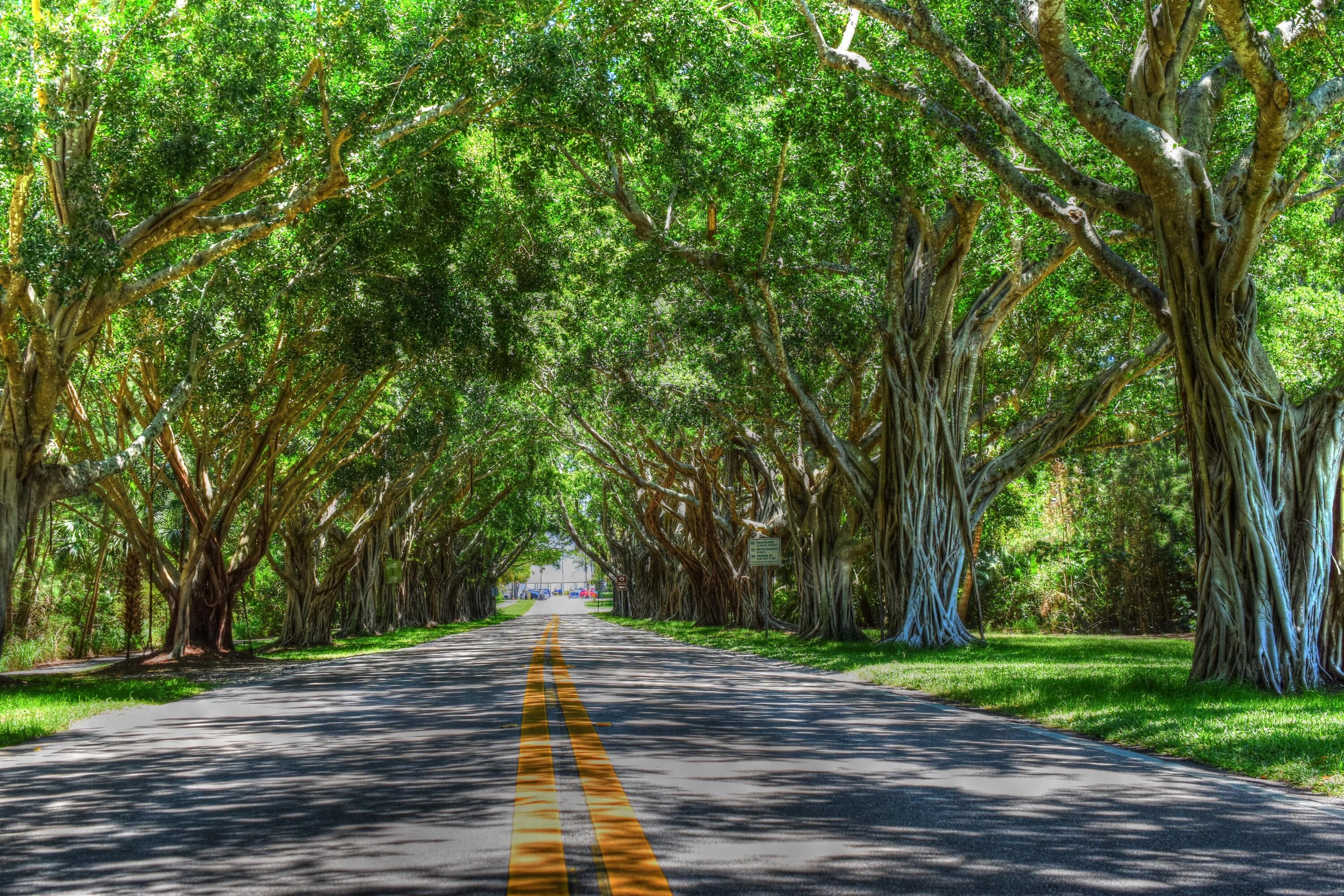 175 Via Rosina, Jupiter, FL 33458 — photo 59 of 63