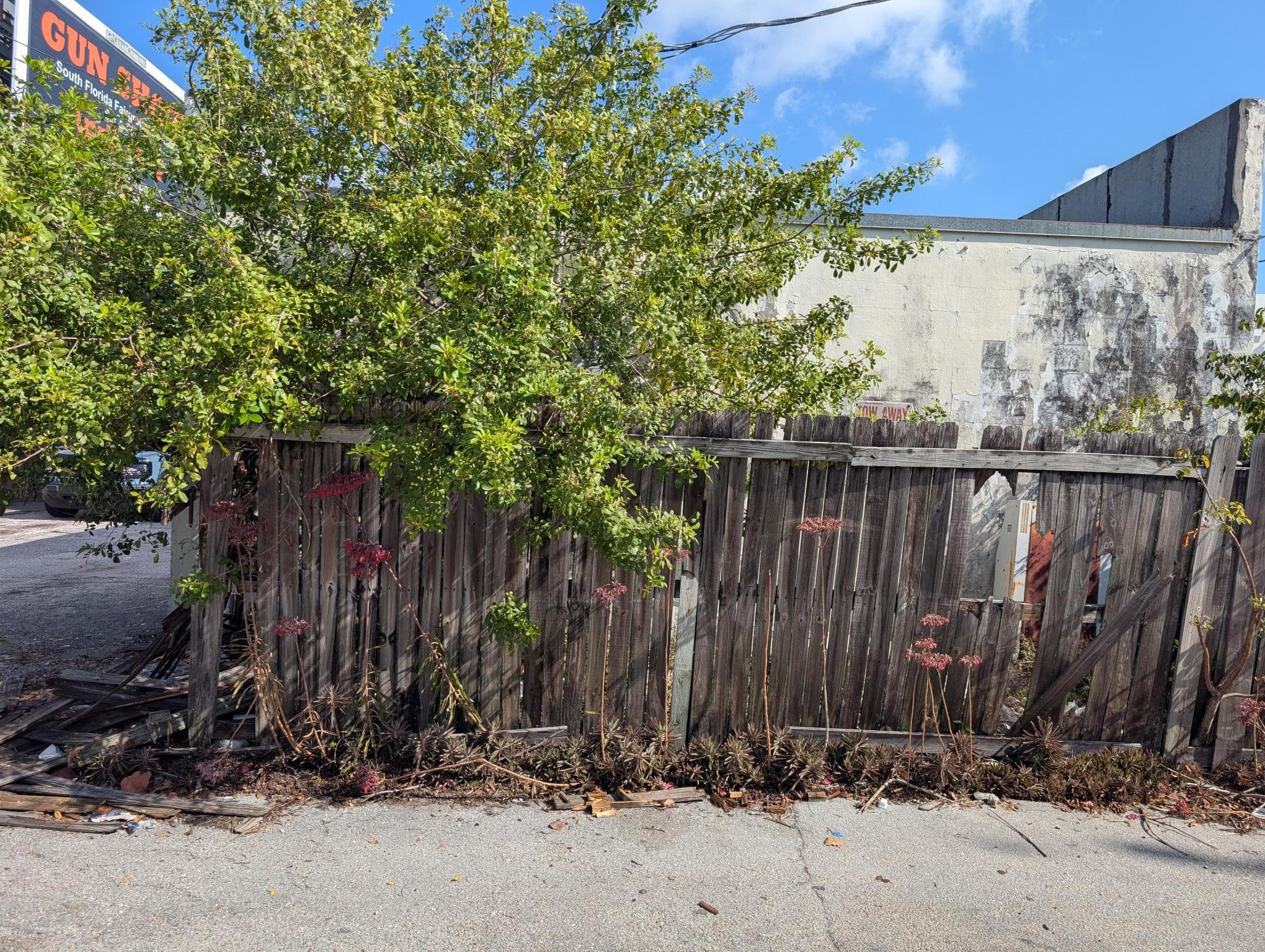 734 Belvedere Road, West Palm Beach, FL — photo 4 of 10