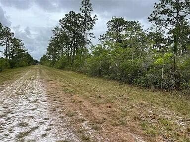 0 Bougainvillea Drive, Indian Lake Estates, FL 33855 — photo 3 of 8