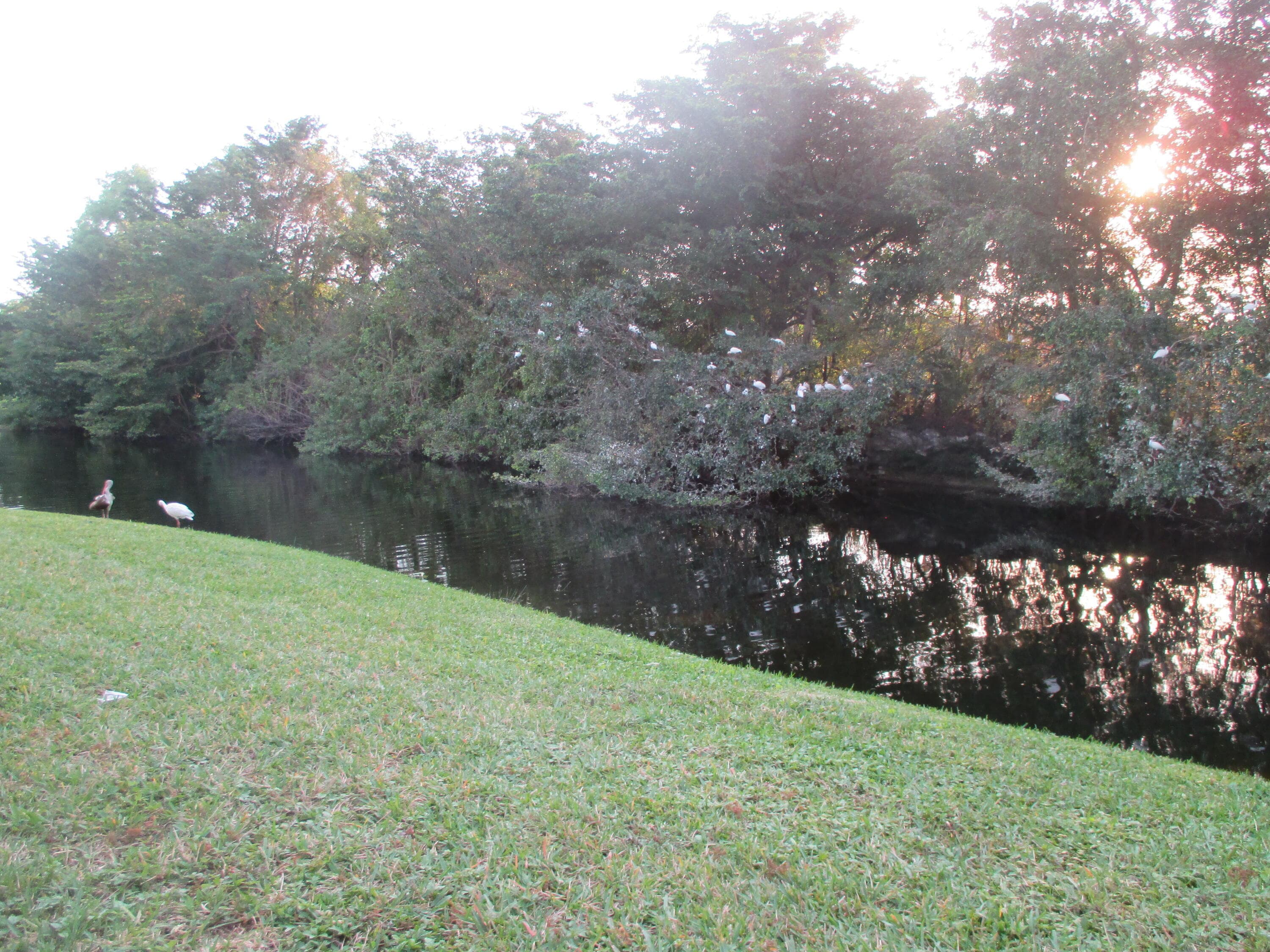 200 Lake Carol Drive, West Palm Beach, FL 33411 — photo 18 of 39