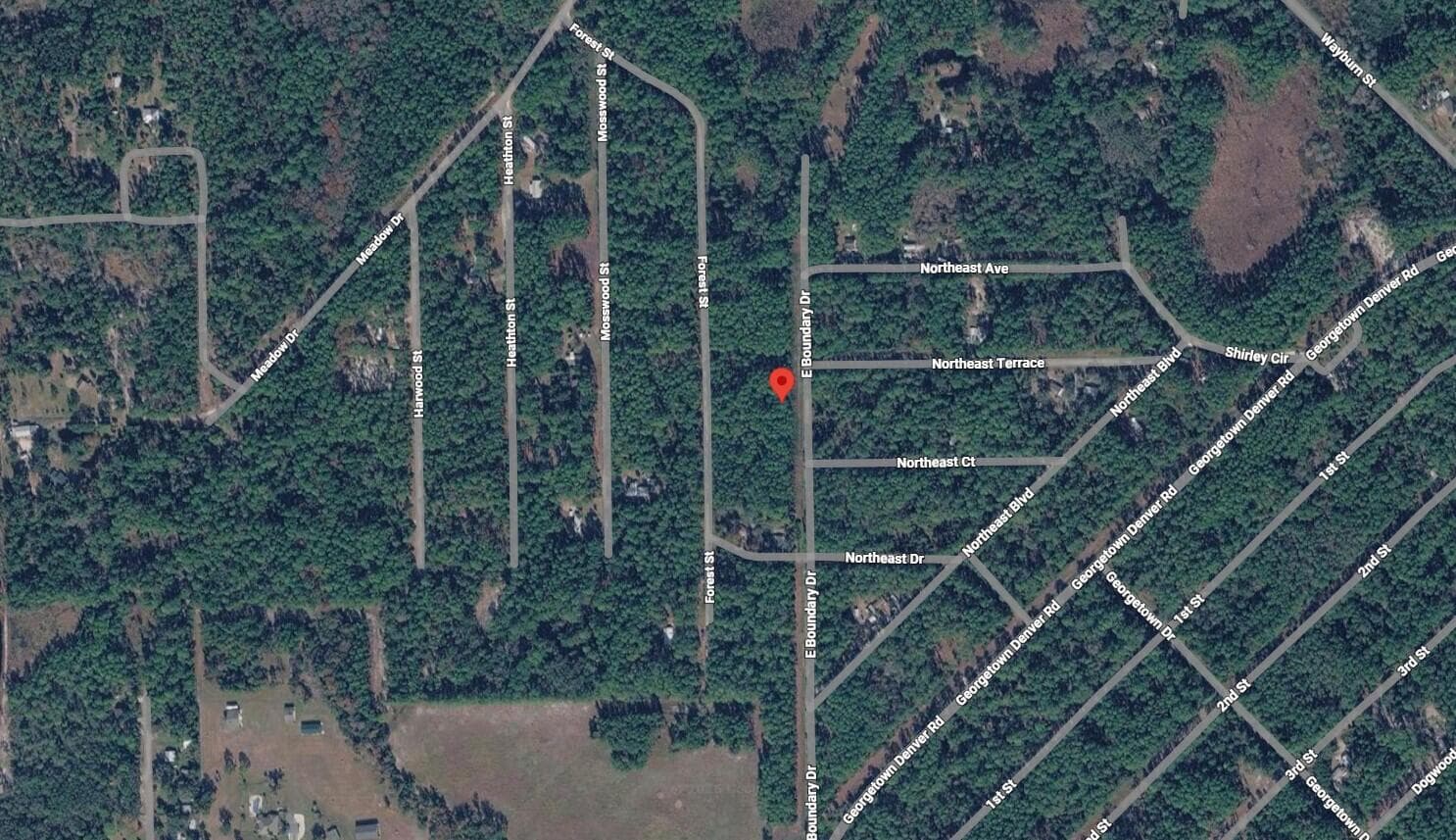 141 E Boundary Drive, Georgetown, FL 32139 — photo 3 of 3