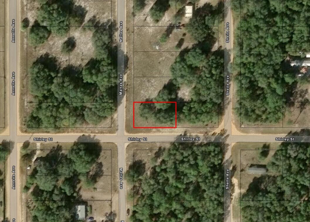 0 Shirley Street, Interlachen, FL 32148 — photo