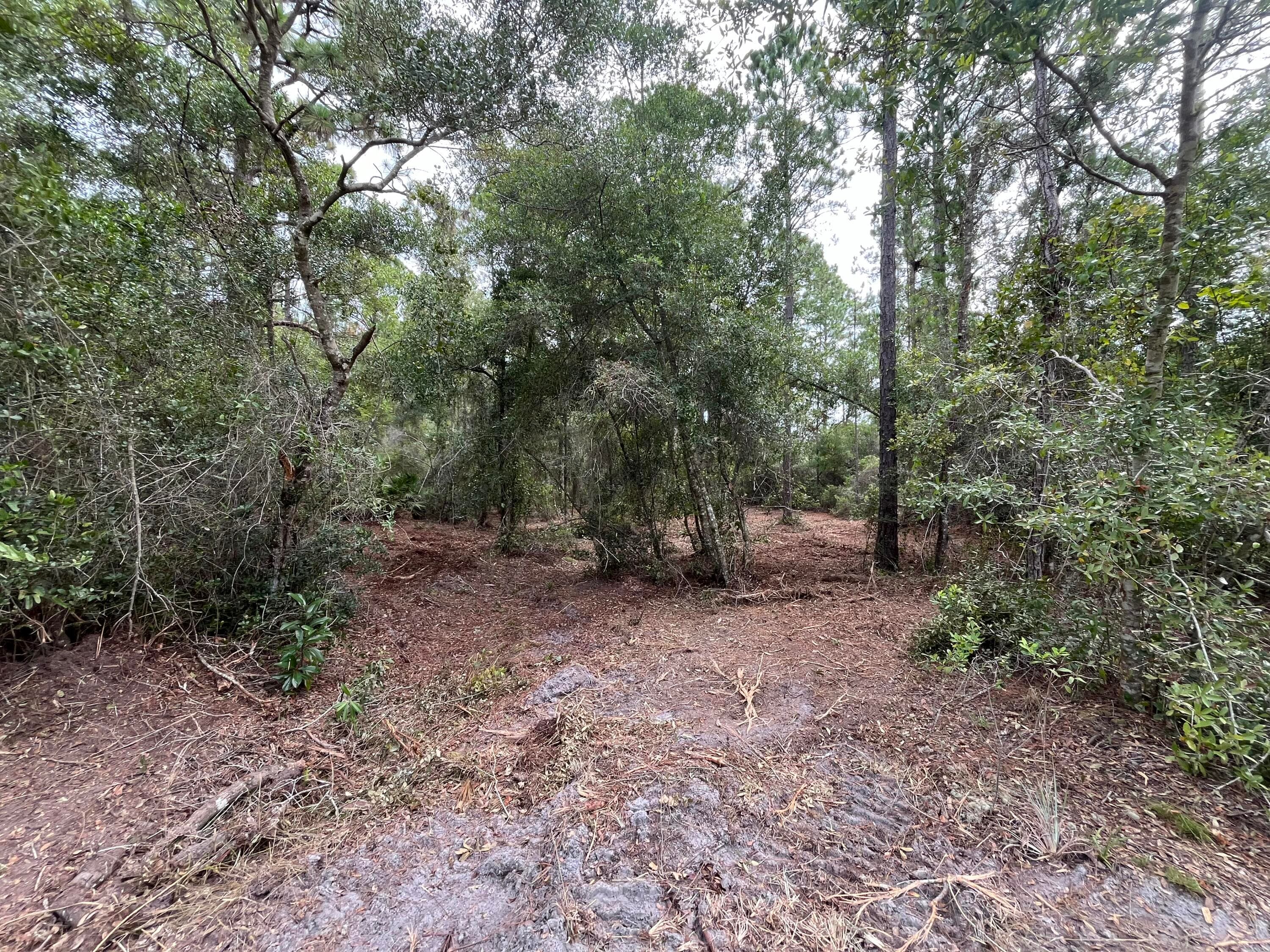 122 Glenside Street, Georgetown, FL 32139 — photo 3 of 9
