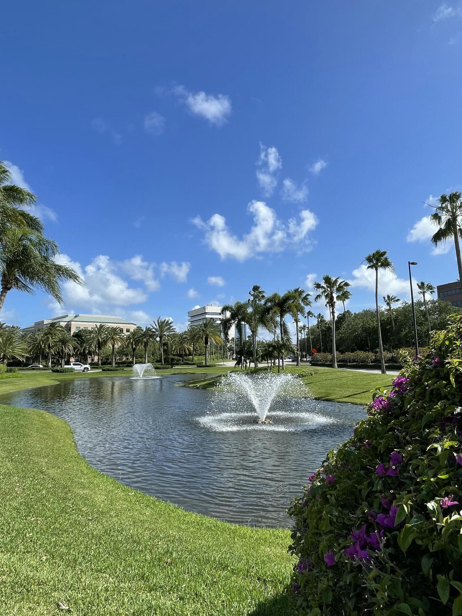 8895 N Bates Road, Palm Beach Gardens, FL 33418 — photo 59 of 91