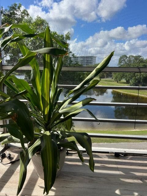 2751 N Palm Aire Drive 402, Pompano Beach, FL 33069 — photo 1 of 48