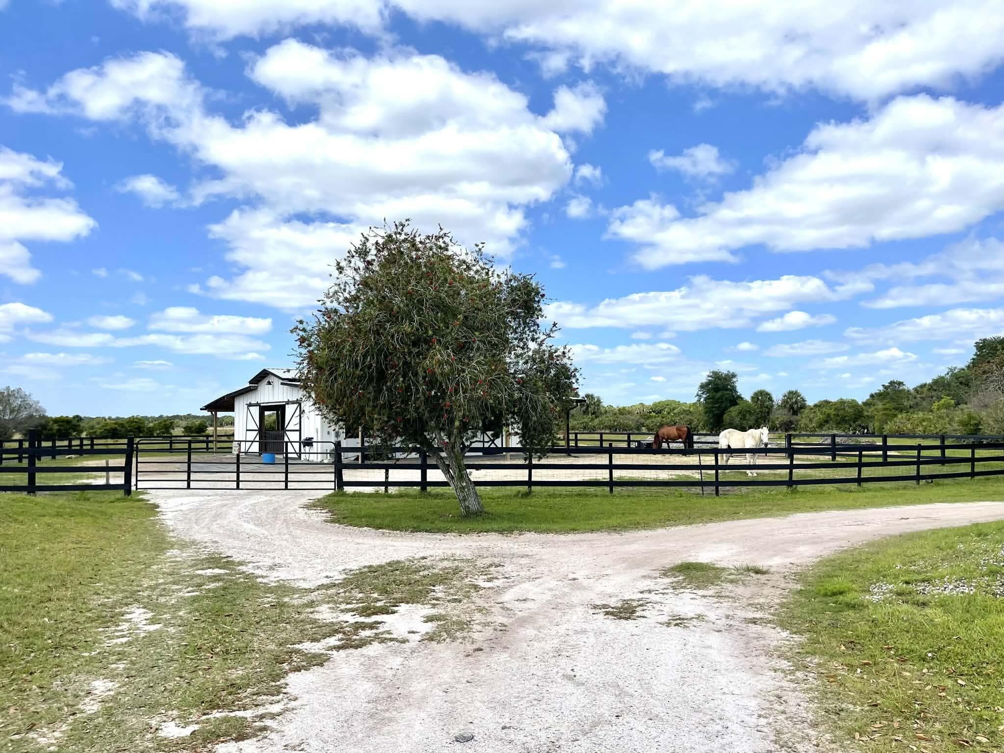 8121 NW 58th Lane, Okeechobee, FL 34972 — photo 13 of 86