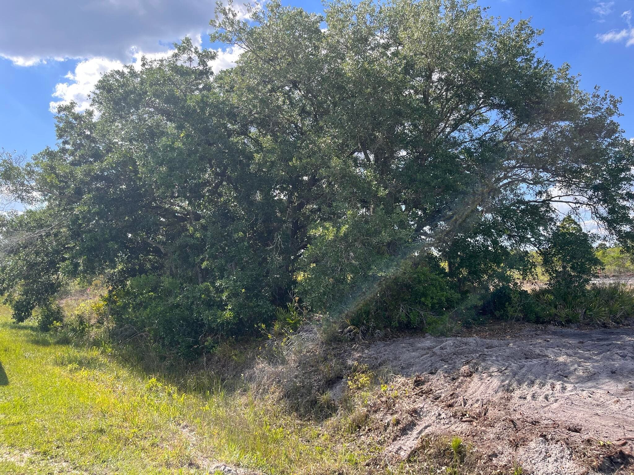 16219 NW 282nd Street, Okeechobee, FL 34972 — photo 6 of 12