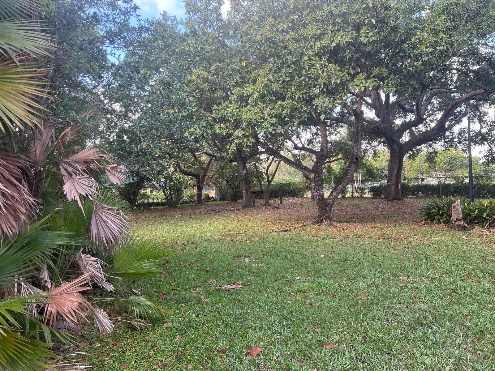24700 SW 129th Avenue, Homestead, FL 33032 — photo 10 of 10