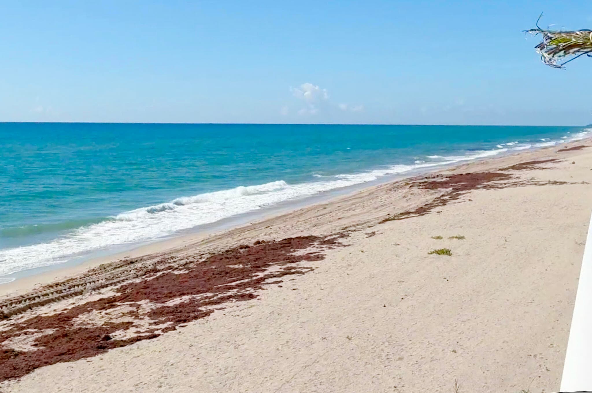 3475 S Ocean Boulevard 116, Palm Beach, FL 33480 — photo 44 of 59