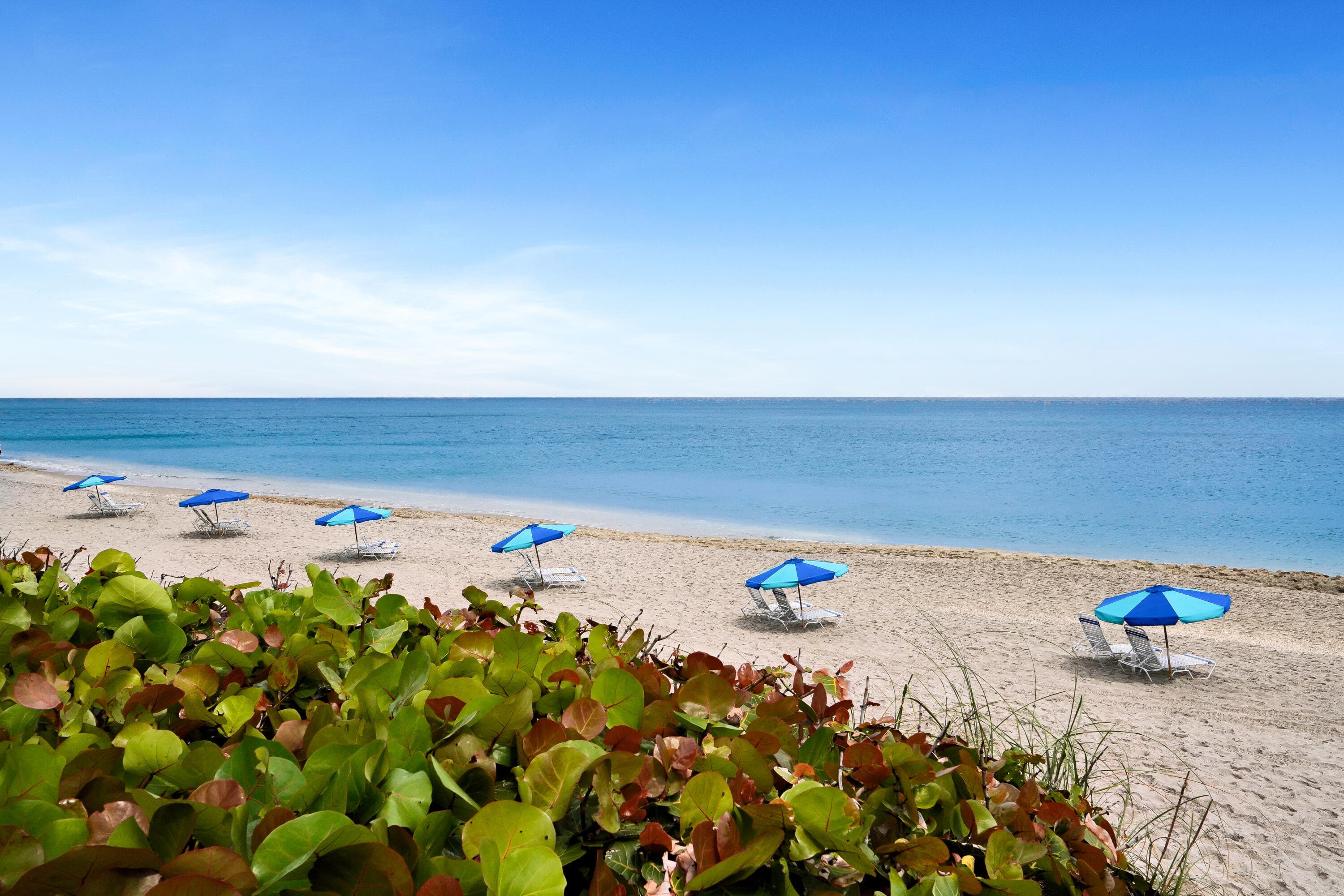 4100 N Ocean Drive 803, Singer Island, FL 33404 — photo 5 of 57