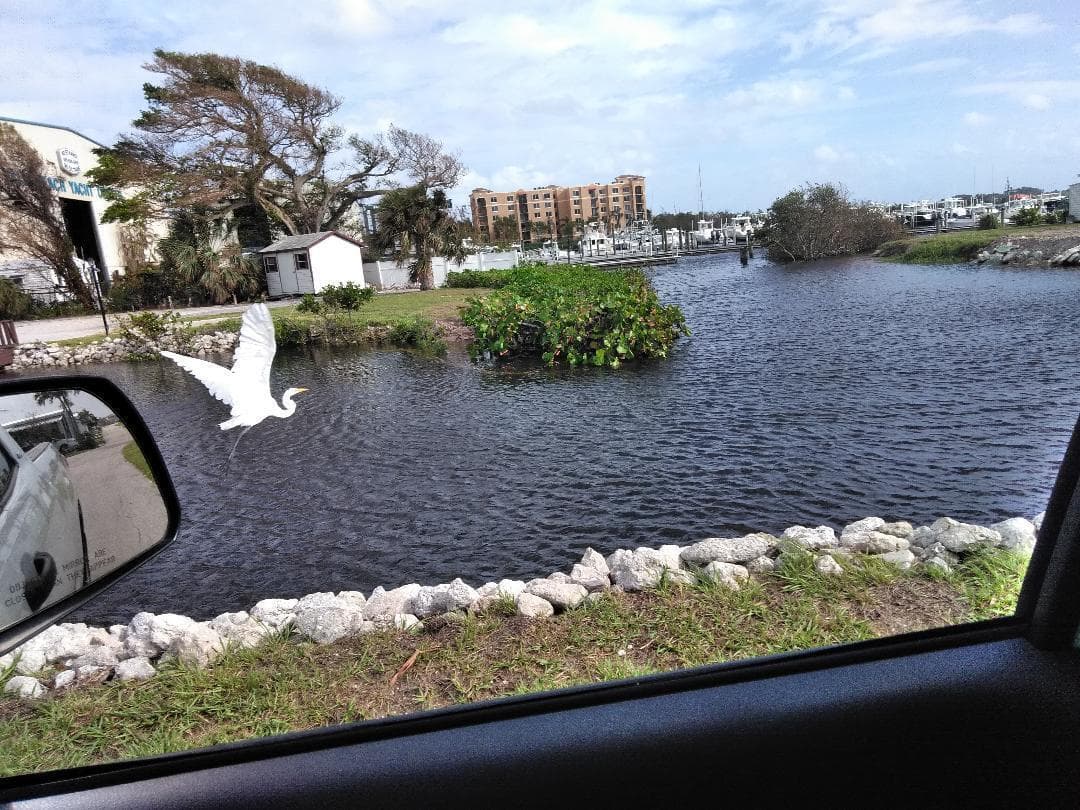 25 S Loafing Street 25, Hypoluxo, FL 33462 — photo 3 of 22