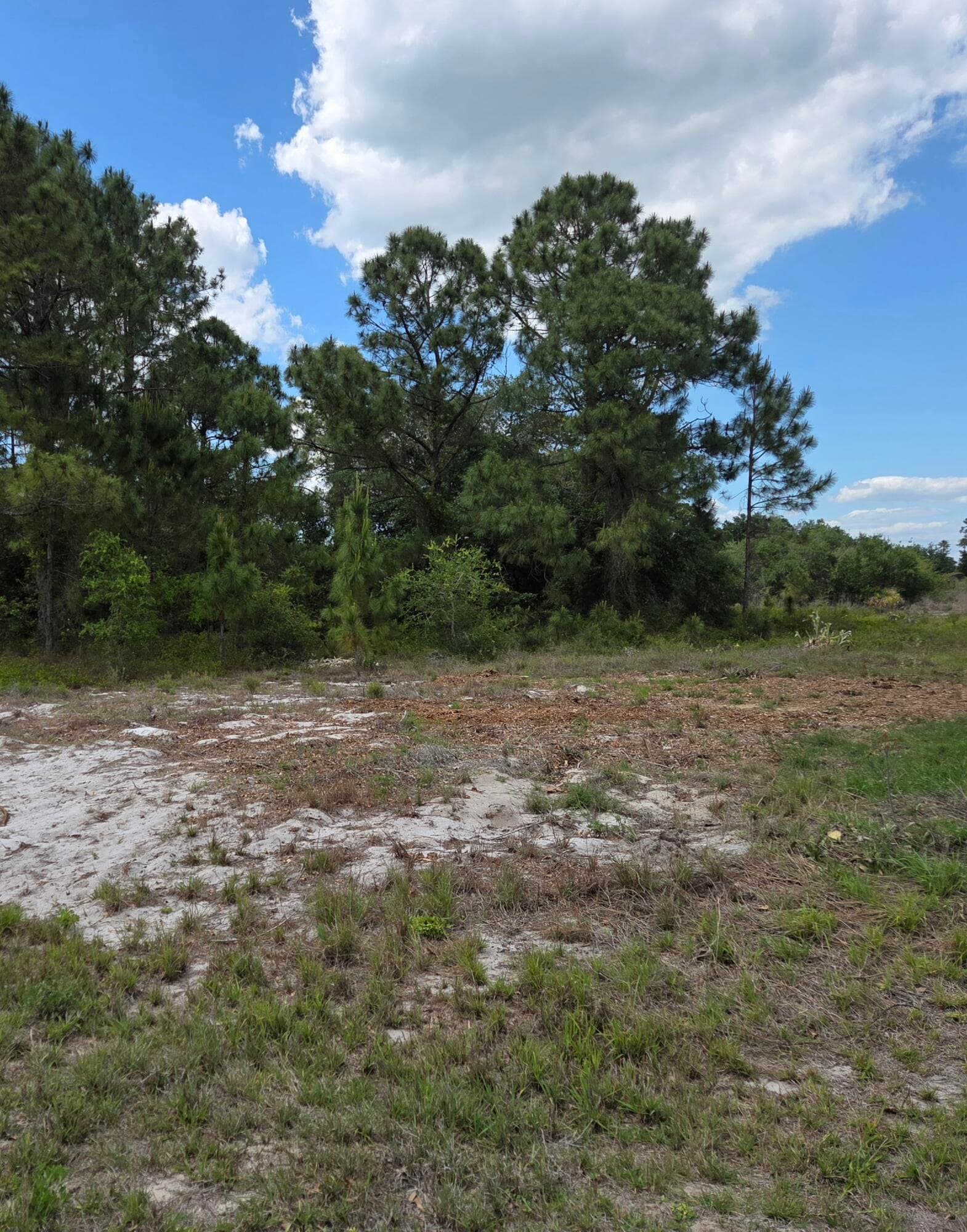 232 Silver Avenue, Lake Placid, FL 33852 — photo 2 of 6