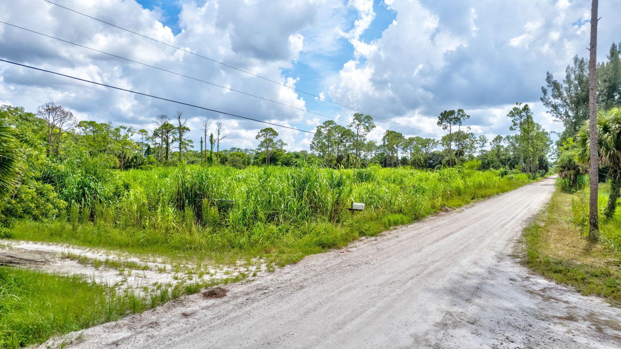 15532 43rd Road N, Loxahatchee Groves, FL 33470 — photo 26 of 29