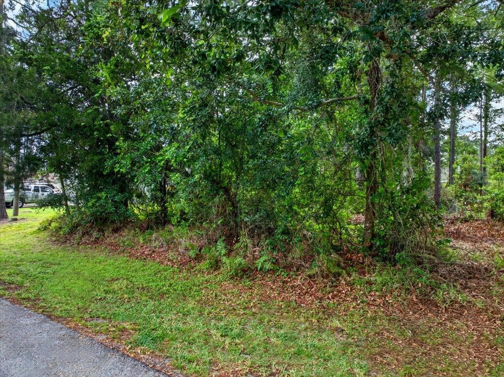 112 Ryberry Drive, Palm Coast, FL 32164 — photo 17 of 17