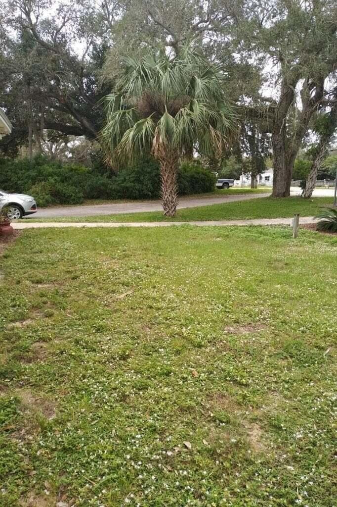 958 Louisiana Avenue 958, Sebastian, FL 32958 — photo 29 of 32