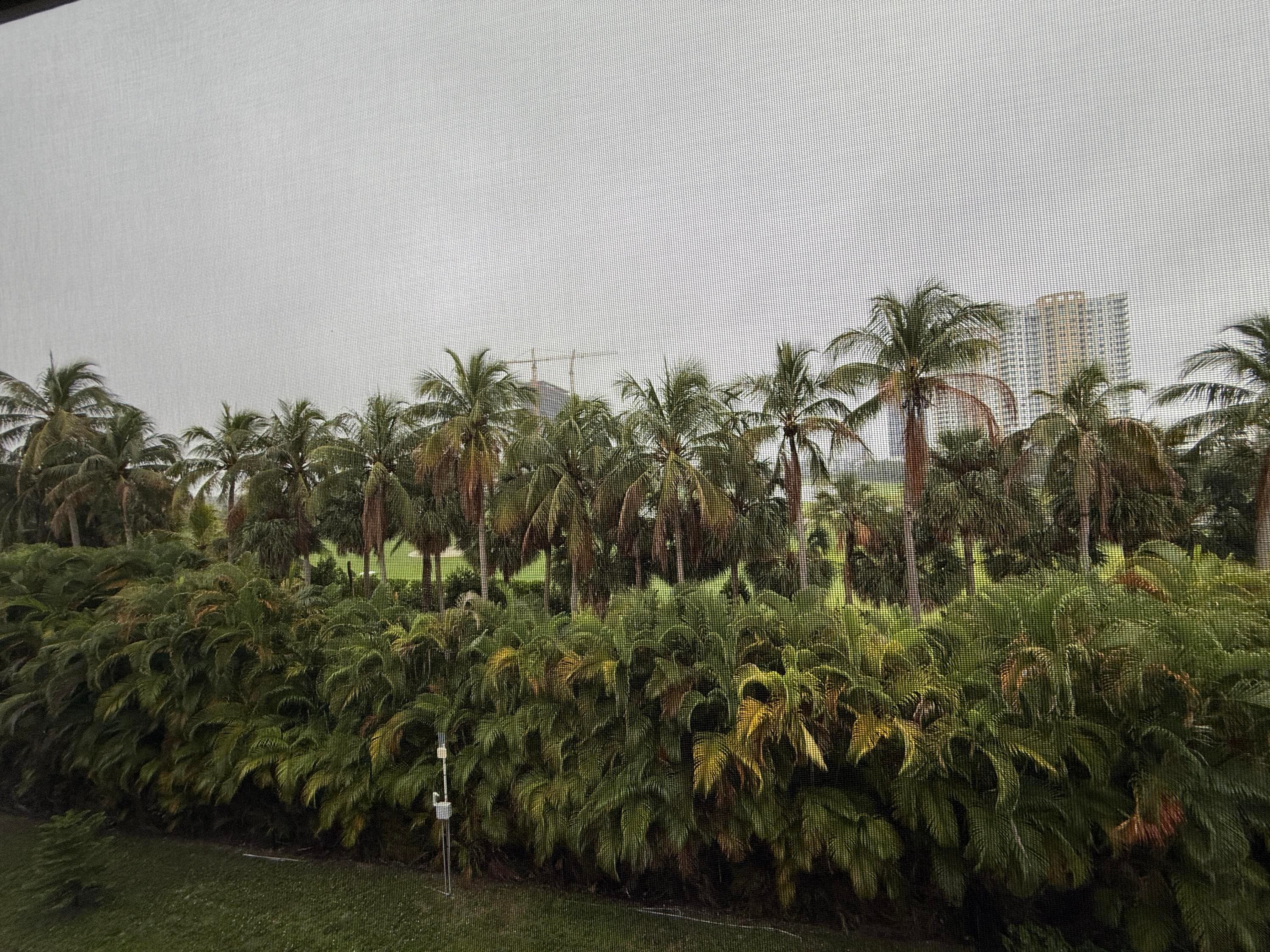300 NE 14th Avenue 411, Hallandale Beach, FL 33009 — photo 17 of 45