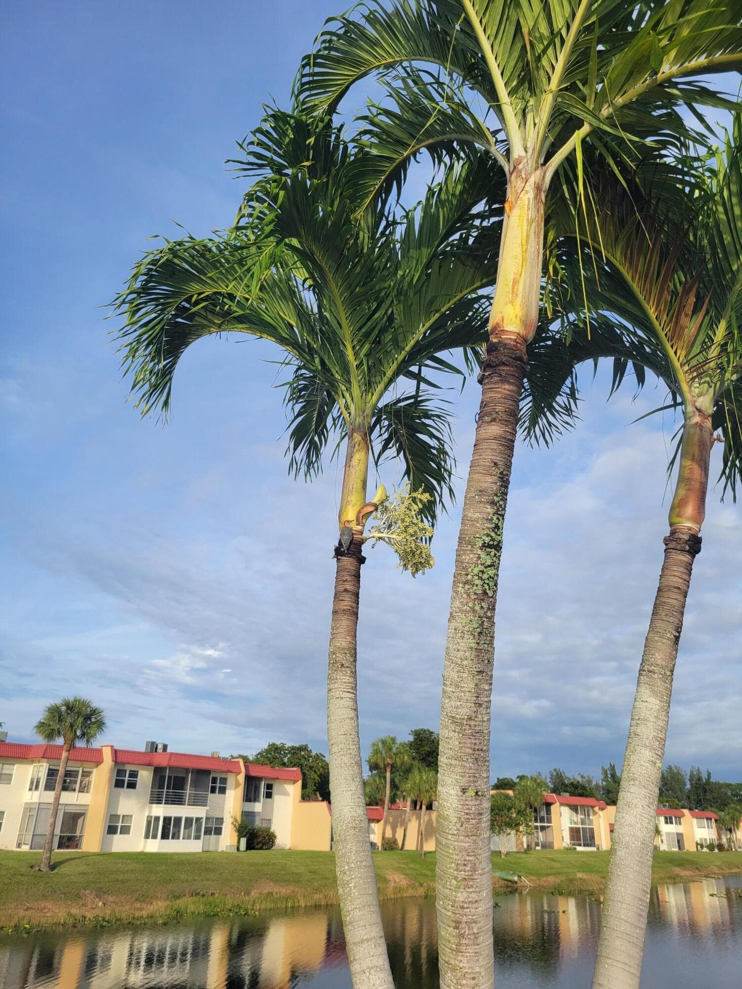 356 Lake Dora Drive, West Palm Beach, FL 33411 — photo 36 of 36