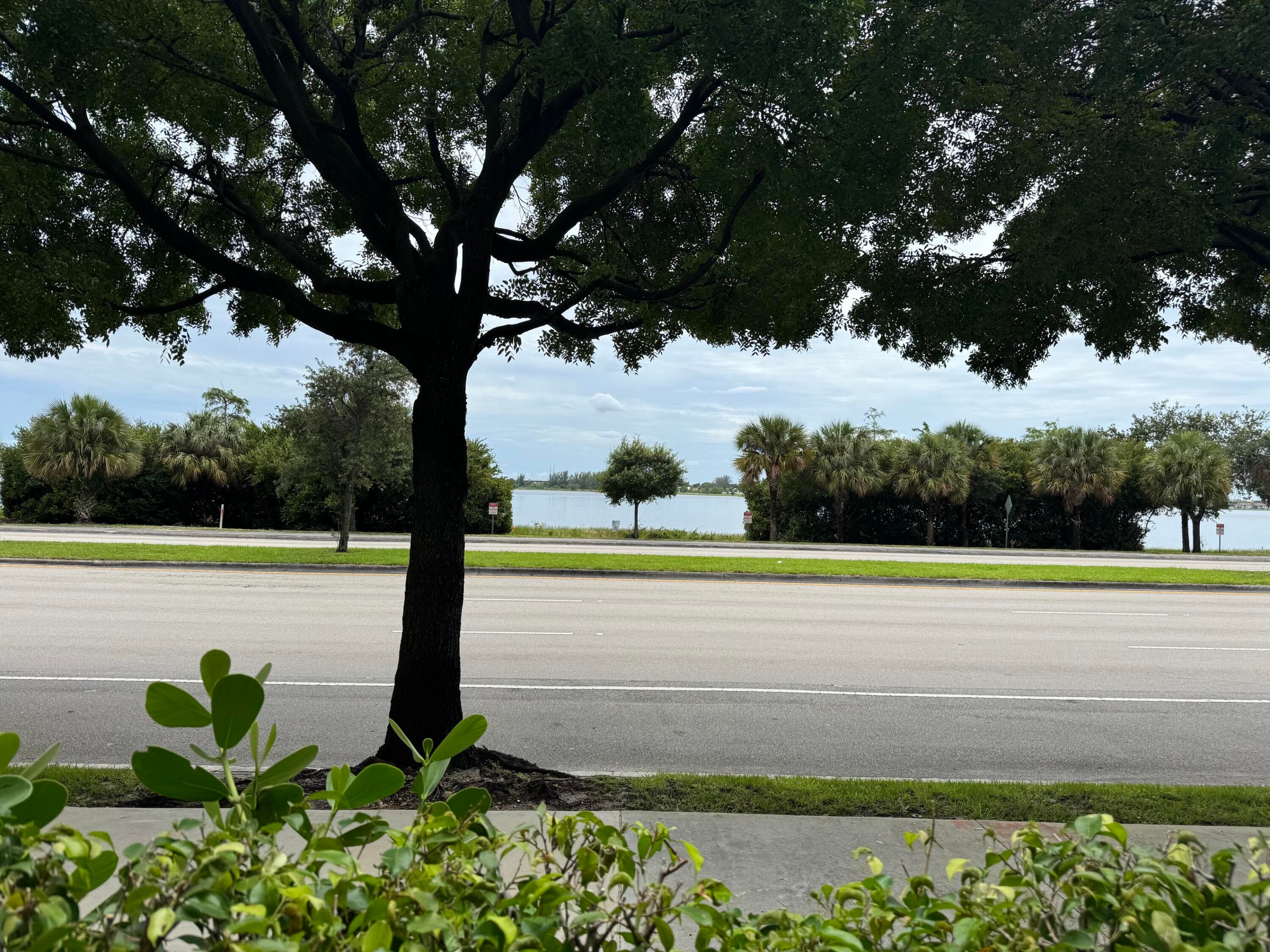 300 S Australian Avenue 111, West Palm Beach, FL 33401 — photo 15 of 17