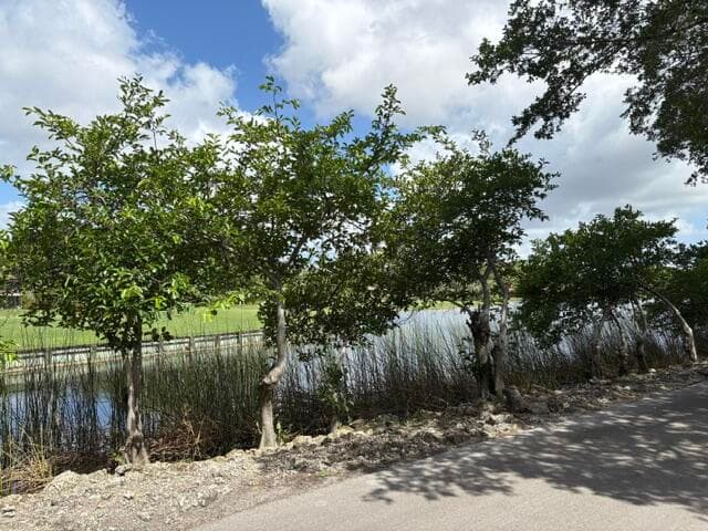21866 Cypress Circle 31e, Boca Raton, FL 33433 — photo 2 of 21