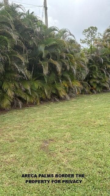 16304 Orange Boulevard, The Acreage, FL 33470 — photo 19 of 69